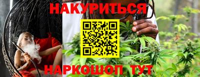 гидропоника Краснознаменск