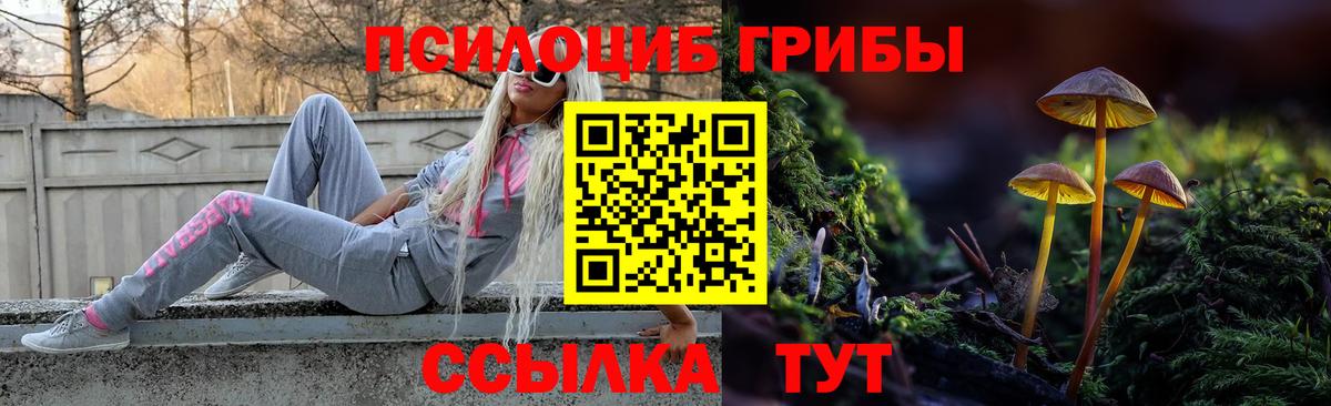 Псилоцибиновые грибы MAGIC MUSHROOMS  Вход с VPN  Кирово-Чепецк  Галлюциногенные грибы мухоморы 